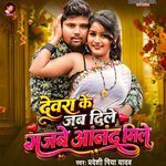 Devra Ke Jab Dile Gajbe Anand Mile