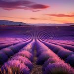 Guitar for Finding Calm