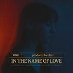 In The Name Of Love
