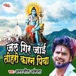 Jal Gir Jaai Toharo Karan Piya