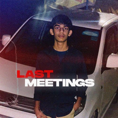 LAST MEETINGS_poster_image