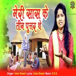 Meri Saas Ke Teen Puttar The