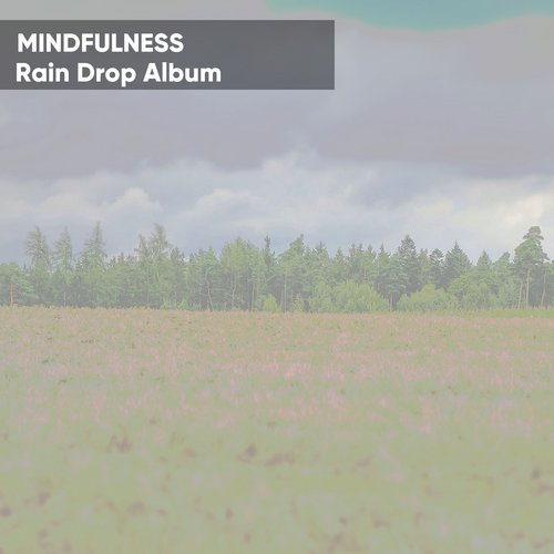 Mindfulness Rain Drop Album