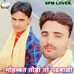 Mohabbat Todi To Padhbali (Meenawati)