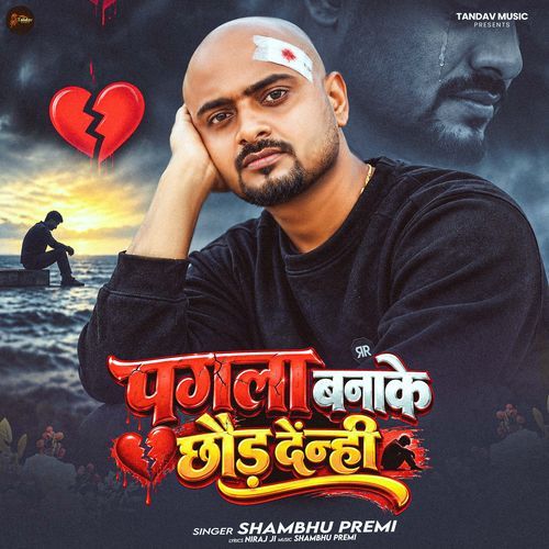 Pagla Banake Chhod Denhi