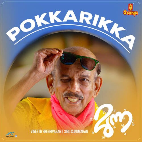 Pokkarikka (From "Munna")