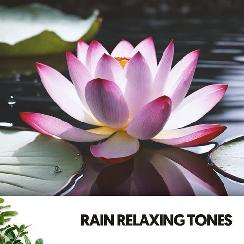 Rain Relaxing Tones: Zen Moments of Nature_poster_image