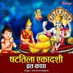 Shattila Ekadashi Vrat Katha artwork