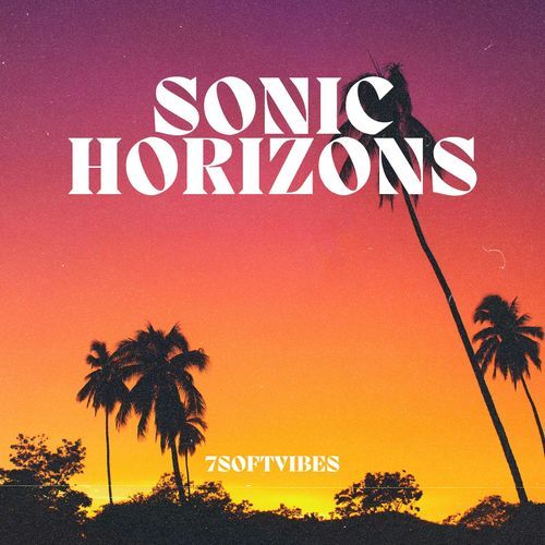 Sonic Horizons