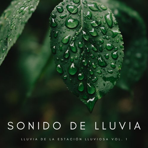 Mantra De Agua cover art