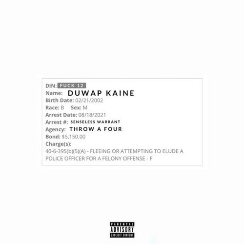 State Of Georgia Vs. Kaine cover art