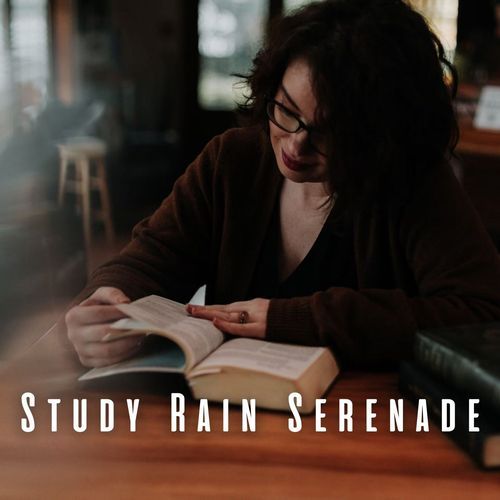 Study Rain Serenade: Binaural Theta Waves for Cognitive Clarity_poster_image