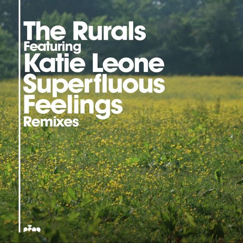 Superfluous Feelings (Andy's Guitar Mix) [feat. Katie Leone]
