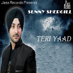 Teri Yaad-MiYSaxlqXmY