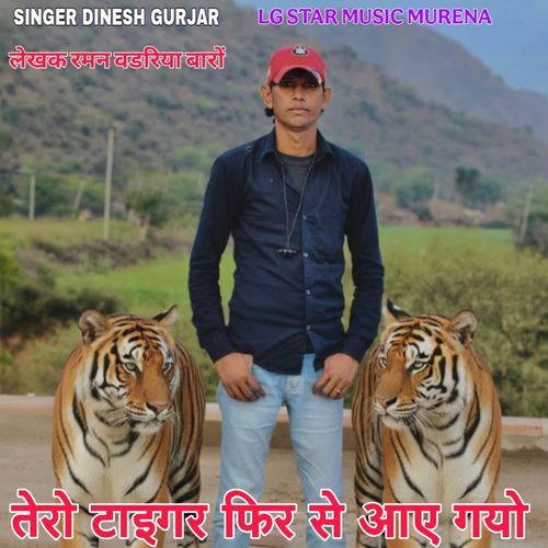 Tero tiger fir se aaye Gayo