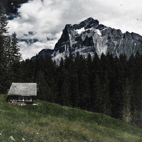 The Cottage (Solo Version) cover art