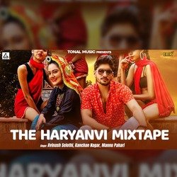 The Haryanvi Mixtape-JlBfBQ1HQEI