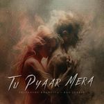 Tu Pyaar Mera