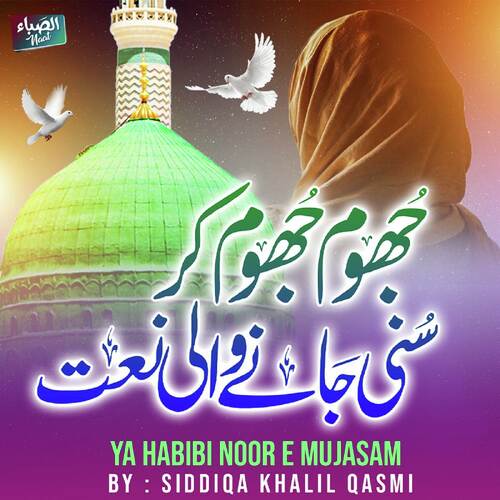 Ya Habib Noor E Mujasam