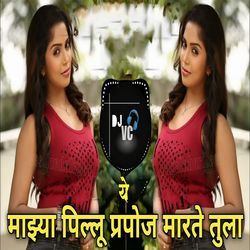 Ye Mazya Pillu Prapose Marte Tula (Dj VC)