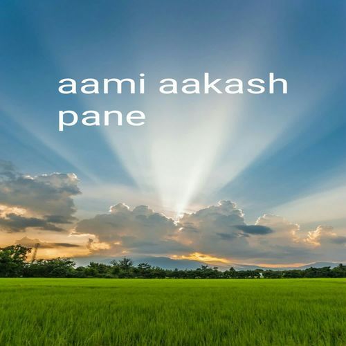 aami aakash pane
