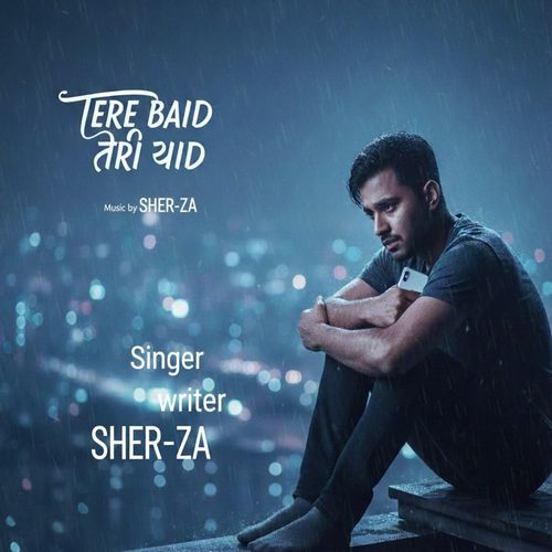 तेरे बाद तेरी याद (feat. Rg Rancho) cover art