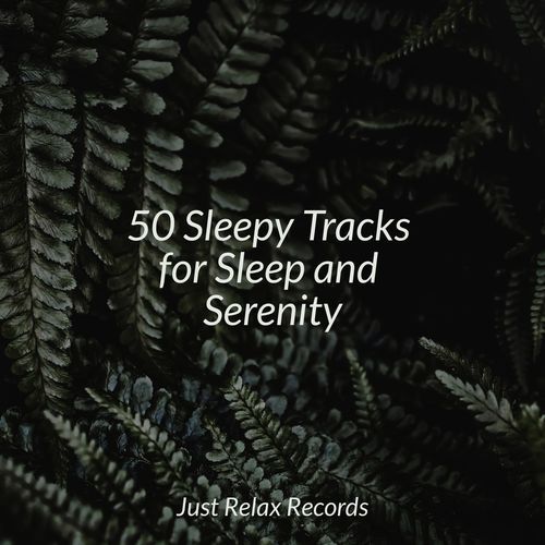 50 Sleepy Tracks for Sleep and Serenity