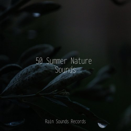 50 Summer Nature Sounds_poster_image