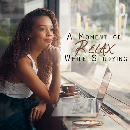 A Moment of Relax While Studying: Smooth Jazz, Chillhop, Jazzhop Mix for Relaxed Mind