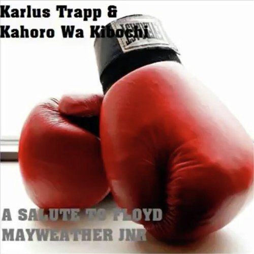 A Salute to Floyd Mayweather Jnr cover art