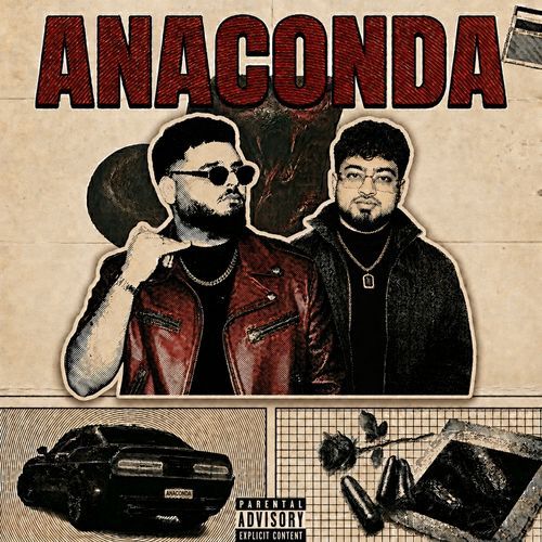 Anaconda