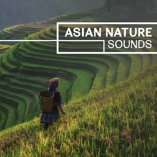 Asian Nature Sounds – Calm Sounds of Nature, Natural Relaxation, Natural Ambient Music, Spiritual Nature