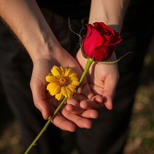 Cinta Yang Tak Terbalas
