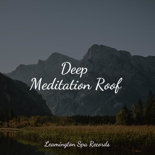 Deep Meditation Roof