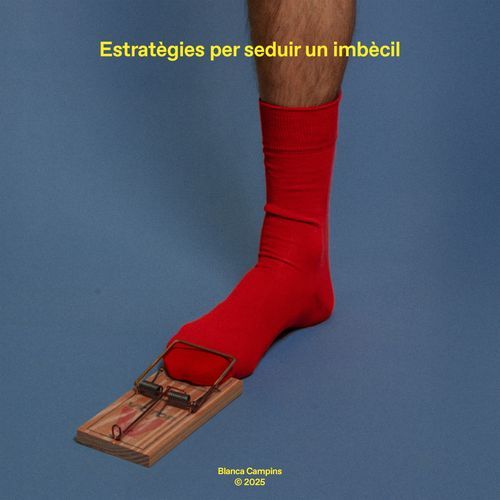 Estratègies per seduir un imbècil cover art