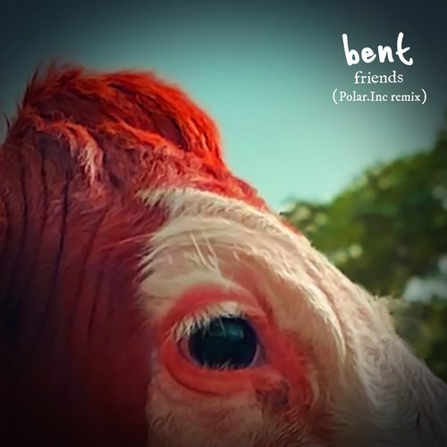 Friends (Polar Inc. Remix) cover art