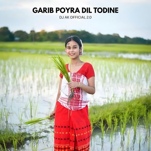 GARIB POYRA DIL TODINE