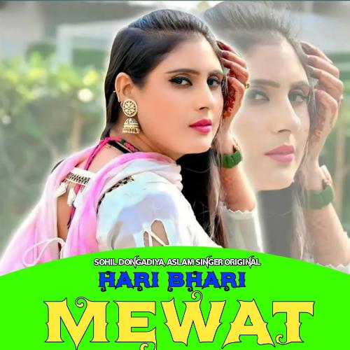 Hari Bhari Mewat