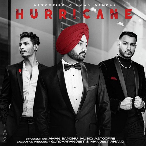 Hurricane_poster_image