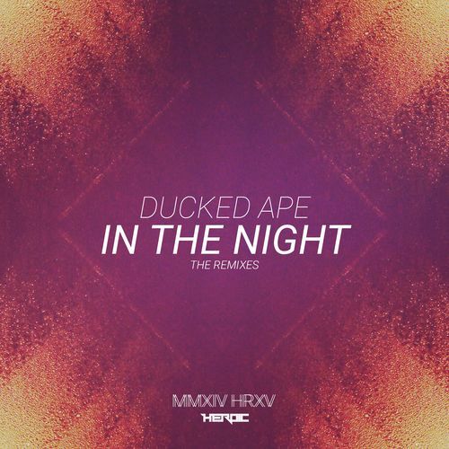 In The Night (Shimmer) (Playground Zer0 Remix) cover art