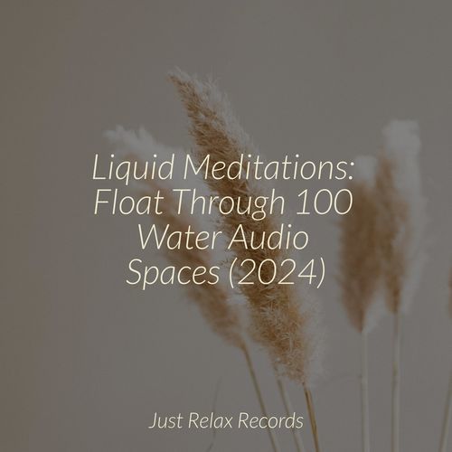 Melodic Immersion Waltz cover art