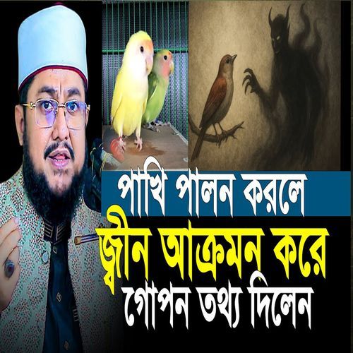 পাখি পালন করলে জ্বীন আক্রকম করে সঠিক তথ্যটি জানুন