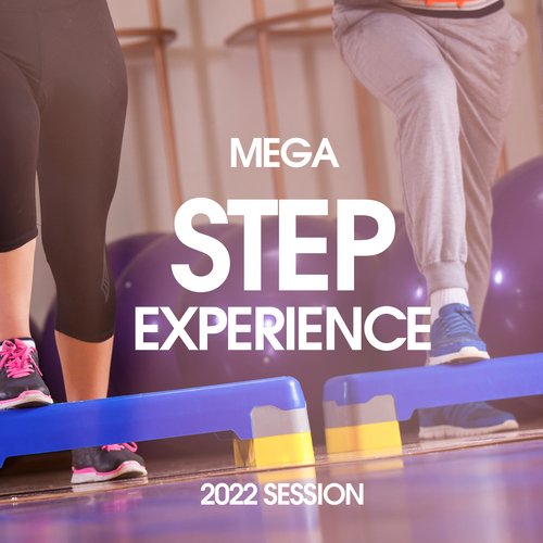 Mega Step Experience 2022 Session 132 Bpm / 32 Count_poster_image