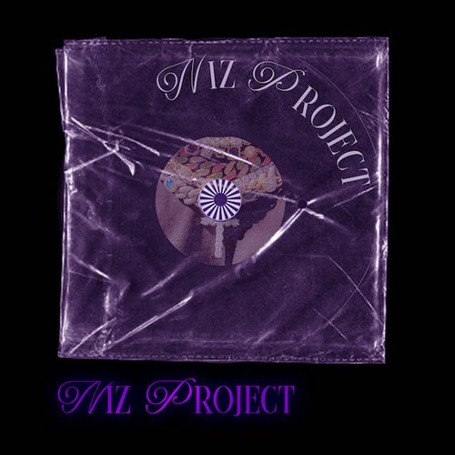 NIZ PROJECT_poster_image