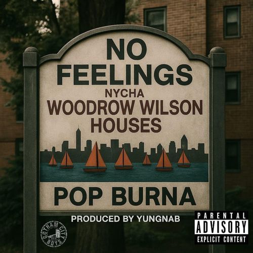 NO FEELINGS cover art