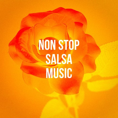 Non Stop Salsa Music