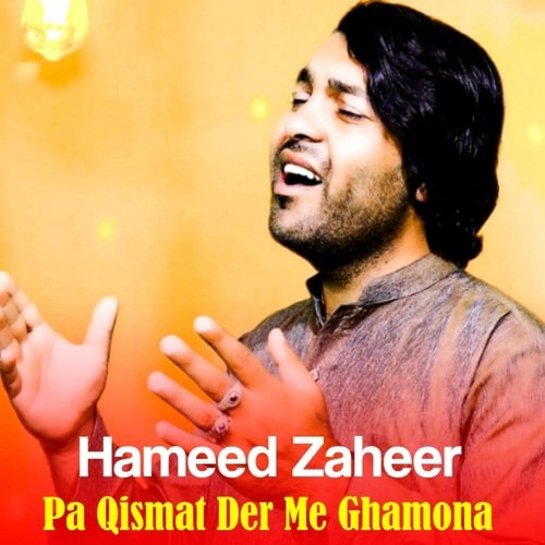 Pa Qismat Der Me Ghamona_poster_image