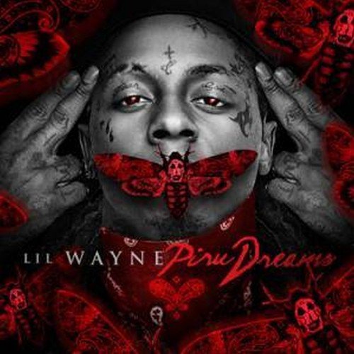 download lil wayne songs bitches