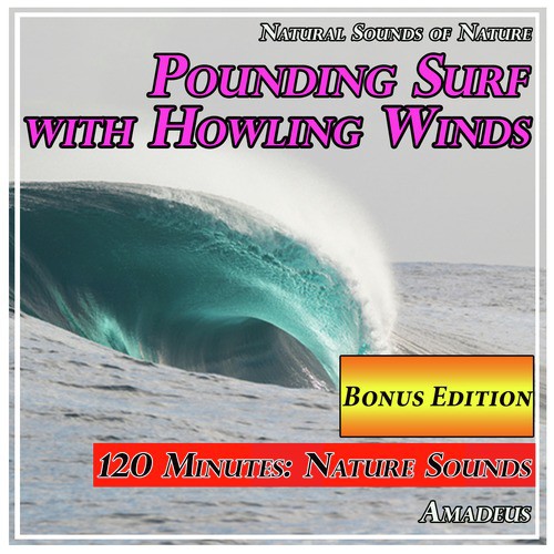 Pounding Surf with Howling Winds: Natural Sounds of Nature: Bonus Edition