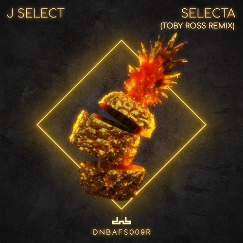 Selecta (Toby Ross Remix)_poster_image